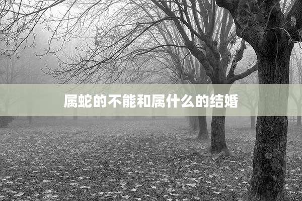 属蛇的不能和属什么的结婚