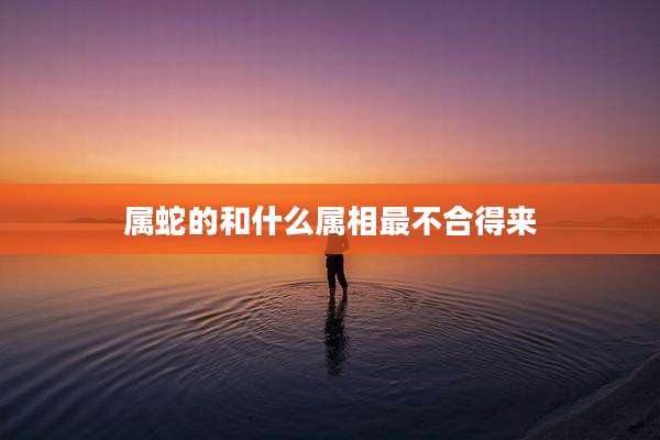 属蛇的和什么属相最不合得来