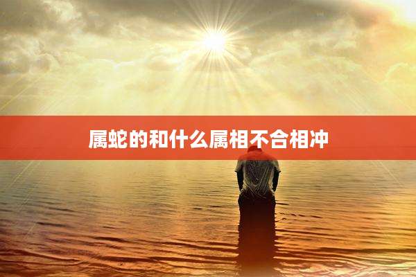 属蛇的和什么属相不合相冲