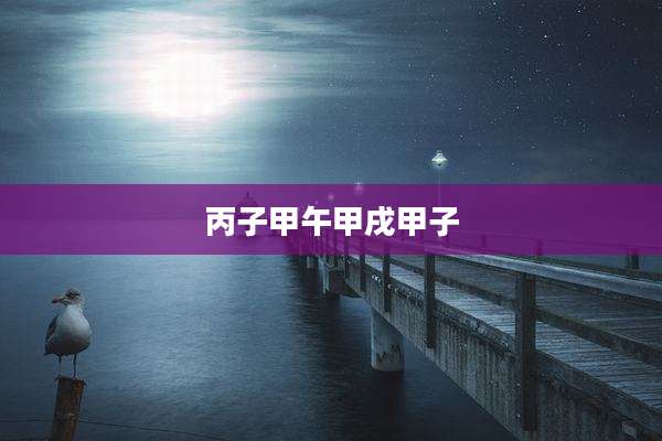 丙子甲午甲戌甲子