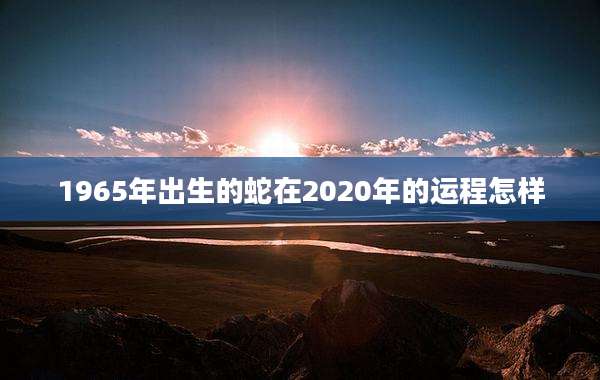 1965年出生的蛇在2020年的运程怎样