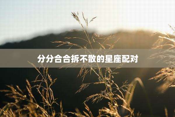分分合合拆不散的星座配对