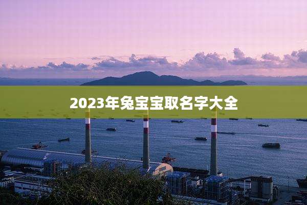2023年兔宝宝取名字大全