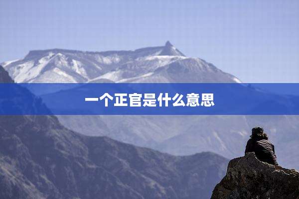 一个正官是什么意思