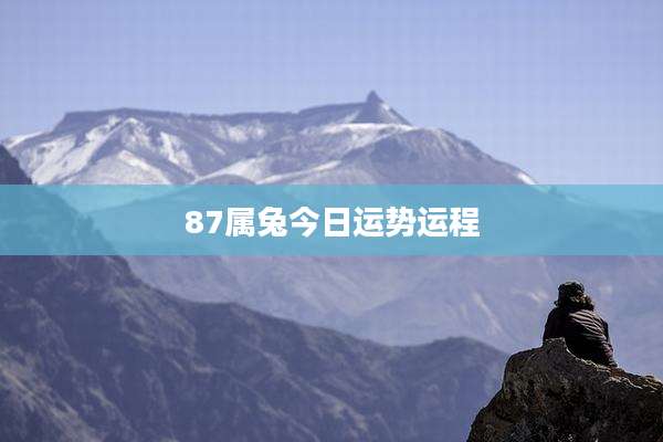 87属兔今日运势运程
