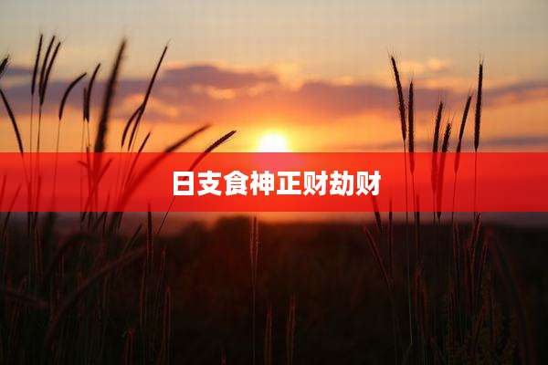 日支食神正财劫财