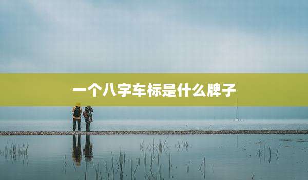 一个八字车标是什么牌子