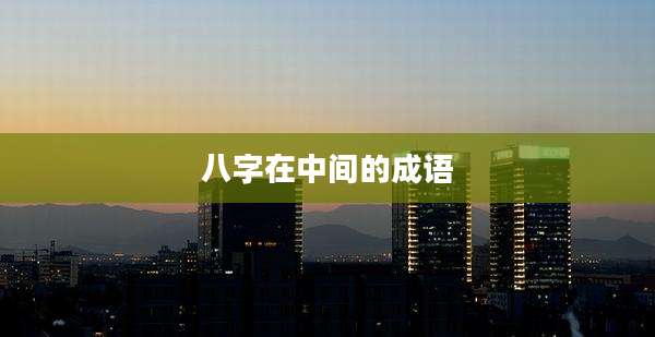 八字在中间的成语
