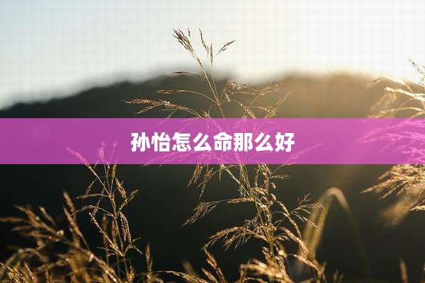 孙怡怎么命那么好