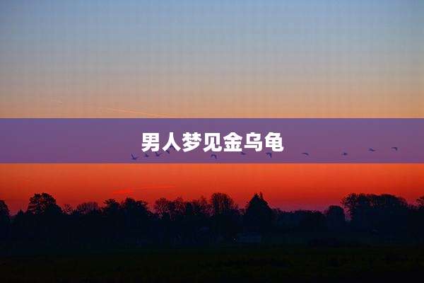 男人梦见金乌龟