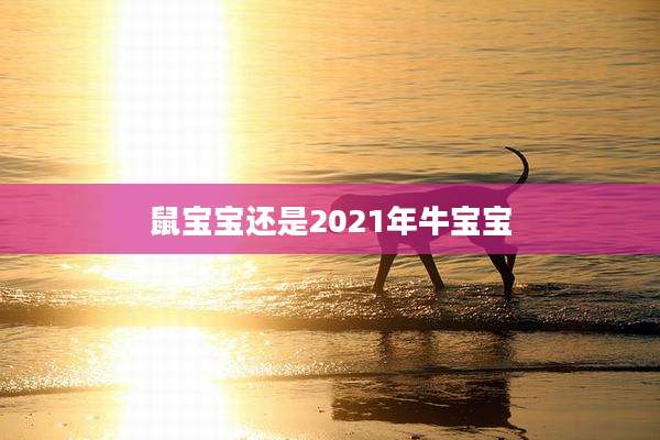 鼠宝宝还是2021年牛宝宝