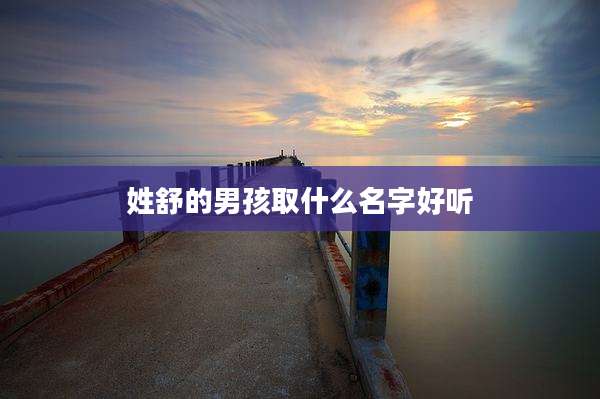姓舒的男孩取什么名字好听