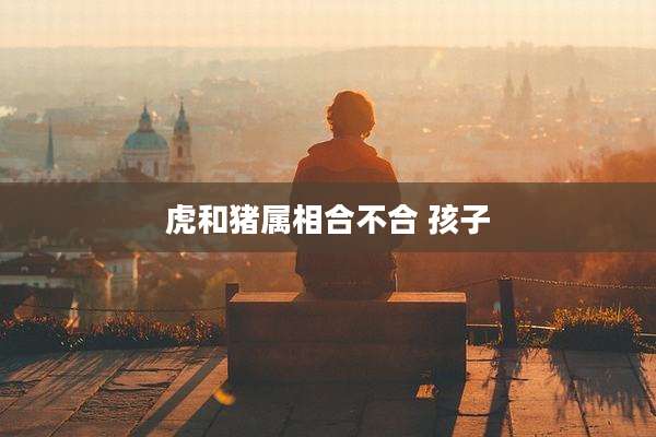 虎和猪属相合不合 孩子