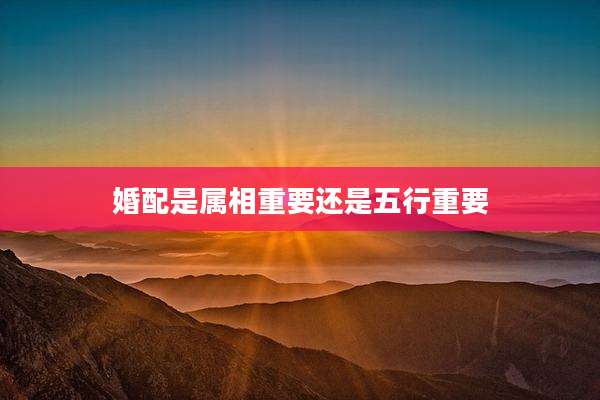 婚配是属相重要还是五行重要