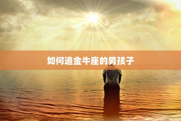 如何追金牛座的男孩子