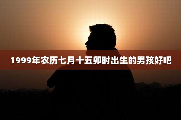 1999年农历七月十五卯时出生的男孩好吧