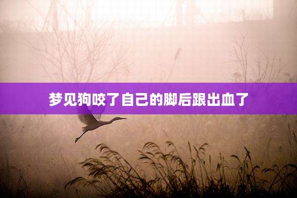 梦见狗咬了自己的脚后跟出血了