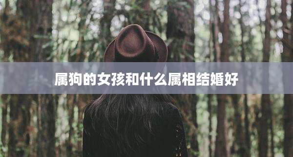 属狗的女孩和什么属相结婚好