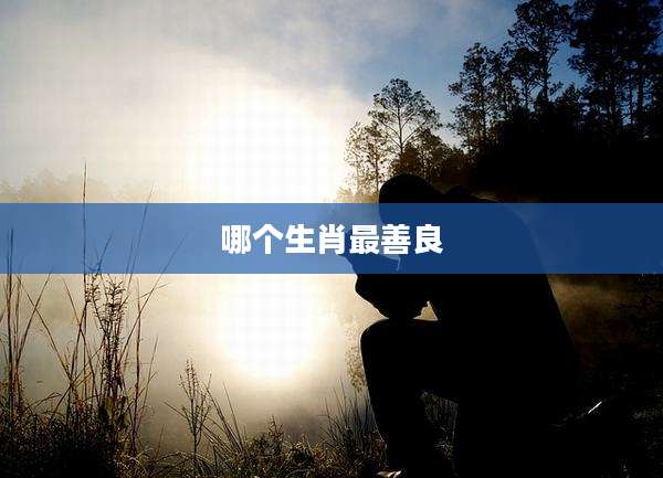 哪个生肖最善良