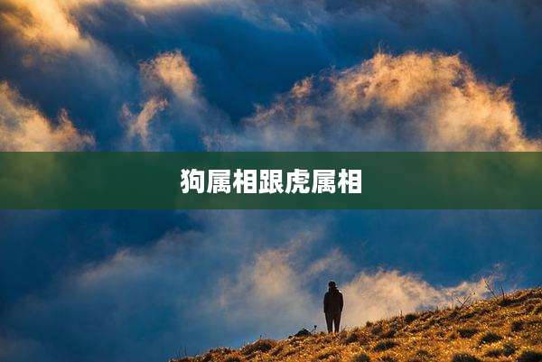 狗属相跟虎属相