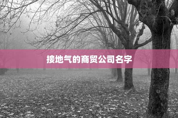 接地气的商贸公司名字