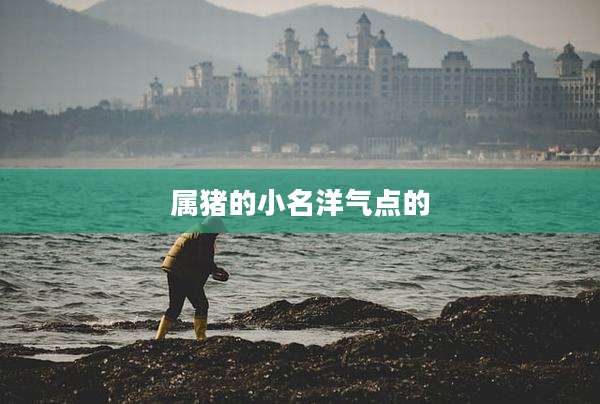 属猪的小名洋气点的