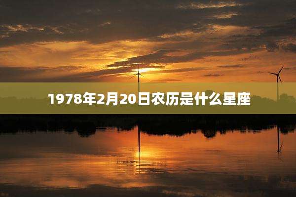 1978年2月20日农历是什么星座
