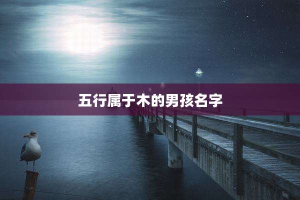 五行属于木的男孩名字