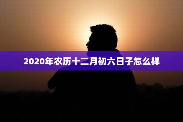 2020年农历十二月初六日子怎么样