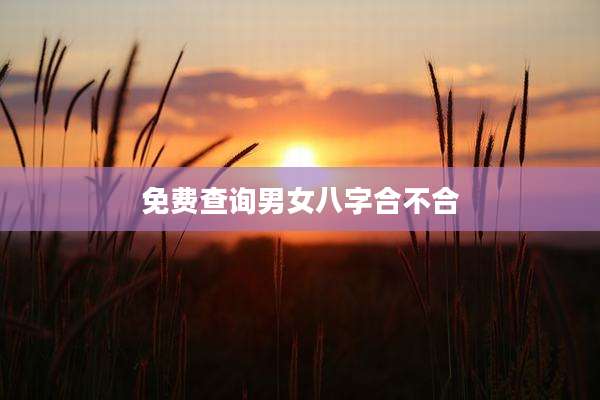 免费查询男女八字合不合
