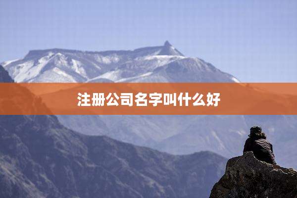 注册公司名字叫什么好