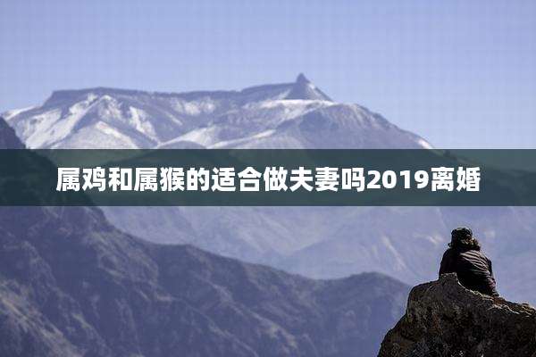 属鸡和属猴的适合做夫妻吗2019离婚