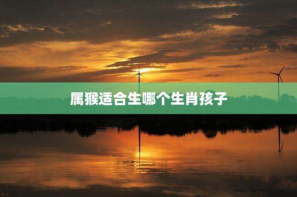 属猴适合生哪个生肖孩子
