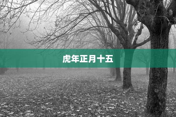 虎年正月十五