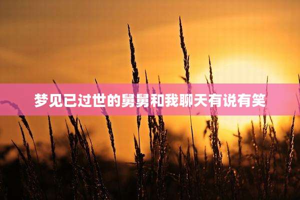 梦见已过世的舅舅和我聊天有说有笑