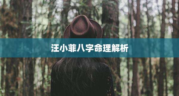 汪小菲八字命理解析