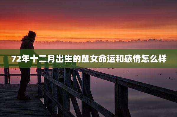 72年十二月出生的鼠女命运和感情怎么样