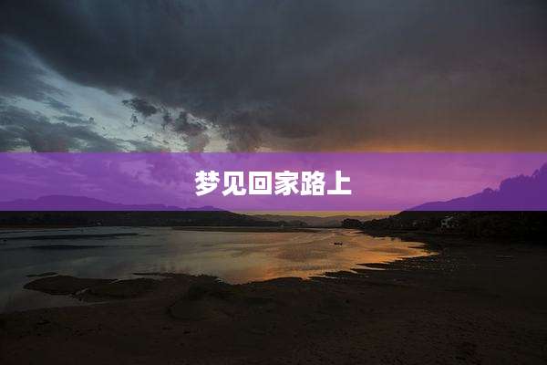 梦见回家路上