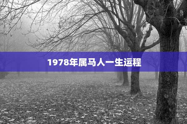 1978年属马人一生运程