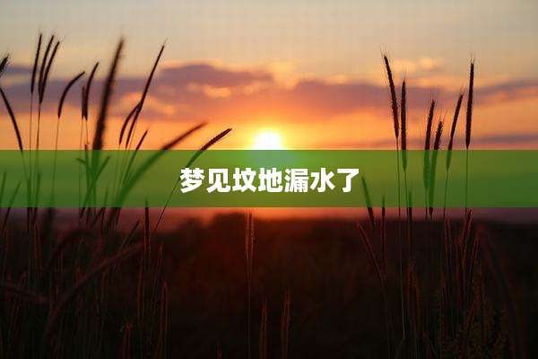 梦见坟地漏水了