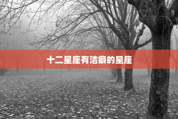 十二星座有洁癖的星座