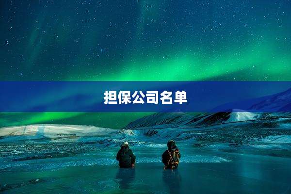 担保公司名单