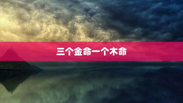 三个金命一个木命