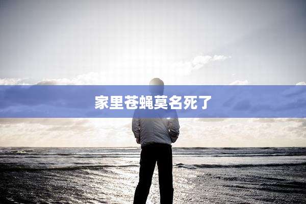 家里苍蝇莫名死了