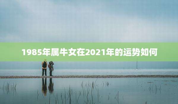 1985年属牛女在2021年的运势如何