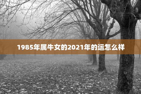 1985年属牛女的2021年的运怎么样