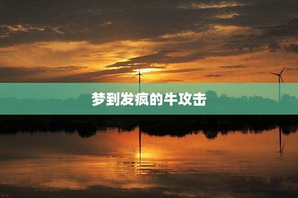 梦到发疯的牛攻击