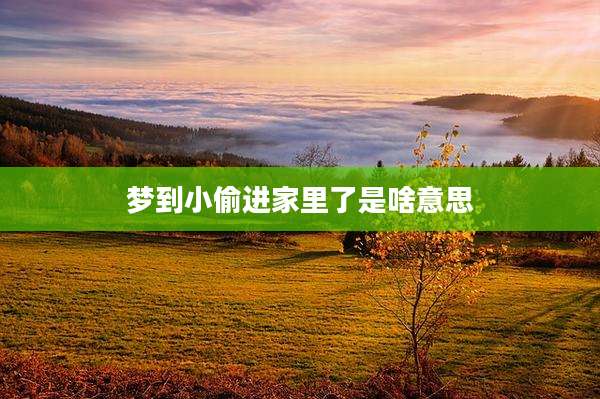 梦到小偷进家里了是啥意思