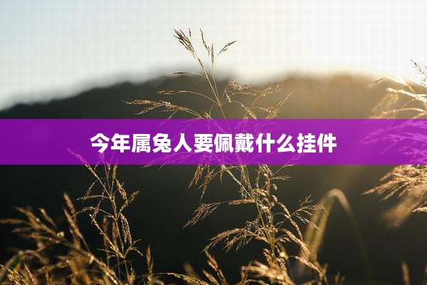 今年属兔人要佩戴什么挂件