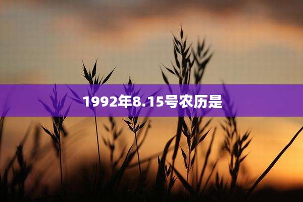 1992年8.15号农历是